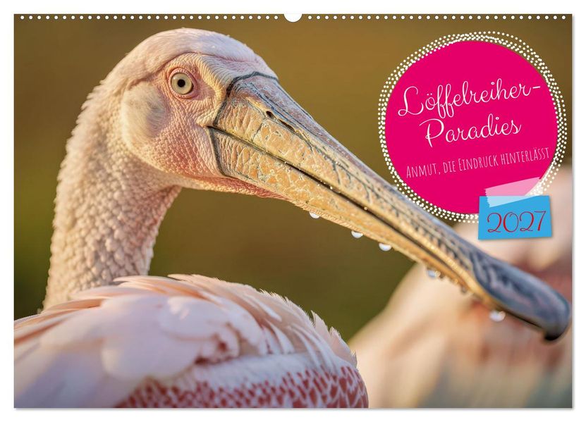 Löffelreiher-Paradies (Wandkalender 2027 DIN A2 quer) CALVENDO Monatskalender