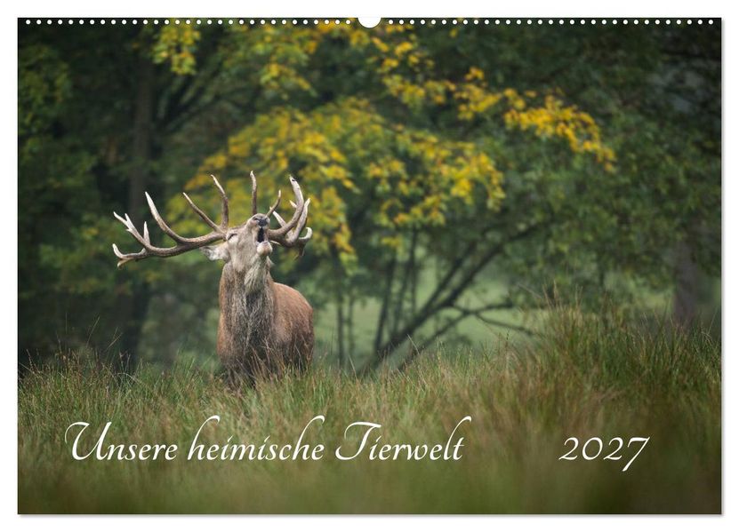 Unsere heimische Tierwelt (Wandkalender 2027 DIN A2 quer) CALVENDO Monatskalender