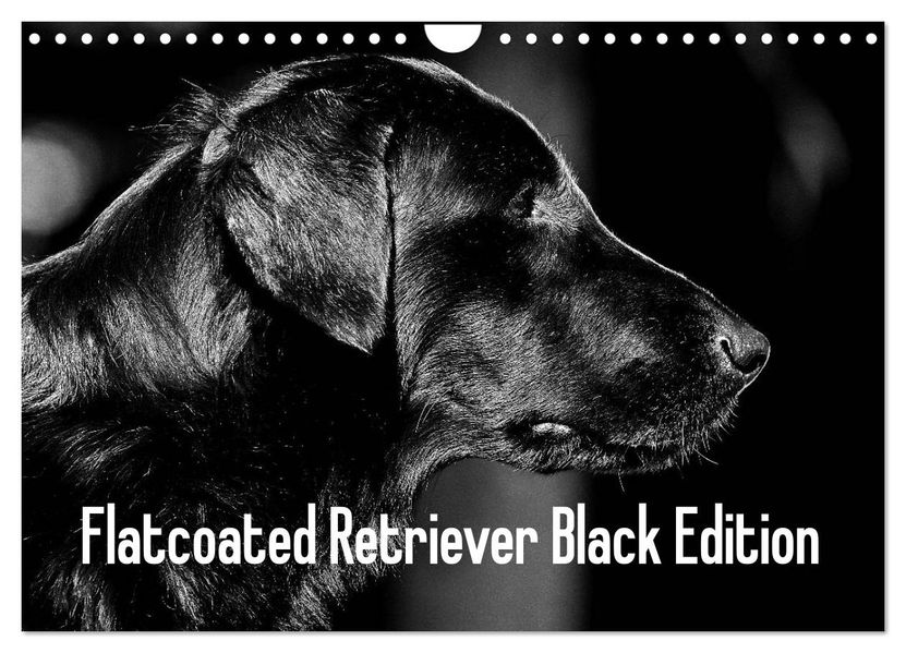 Flatcoated Retriever Black Edition (Wandkalender 2027 DIN A4 quer) CALVENDO Monatskalender