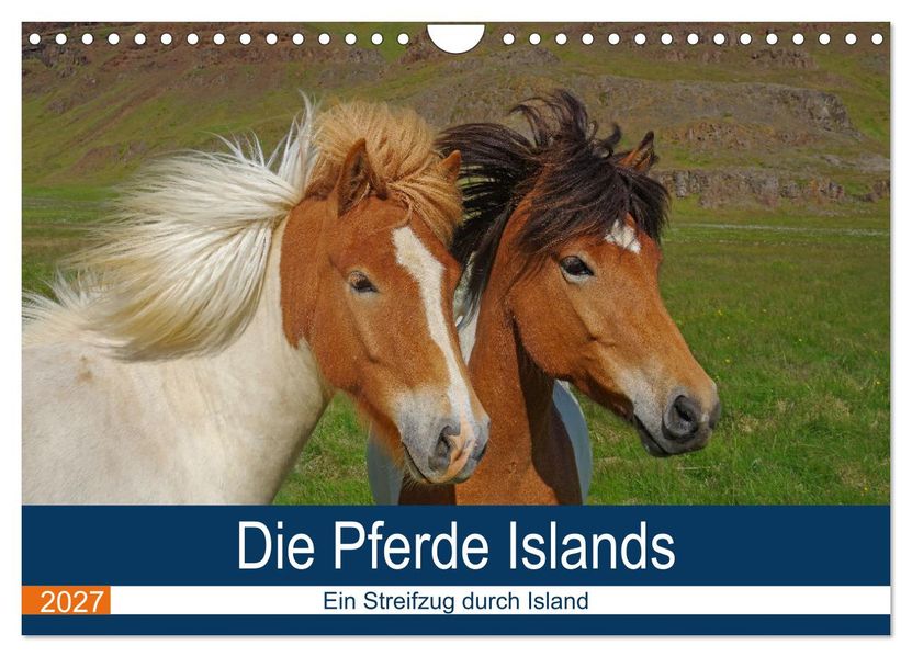 Die Pferde Islands - Ein Streifzug durch Island (Wandkalender 2027 DIN A4 quer) CALVENDO Monatskalender