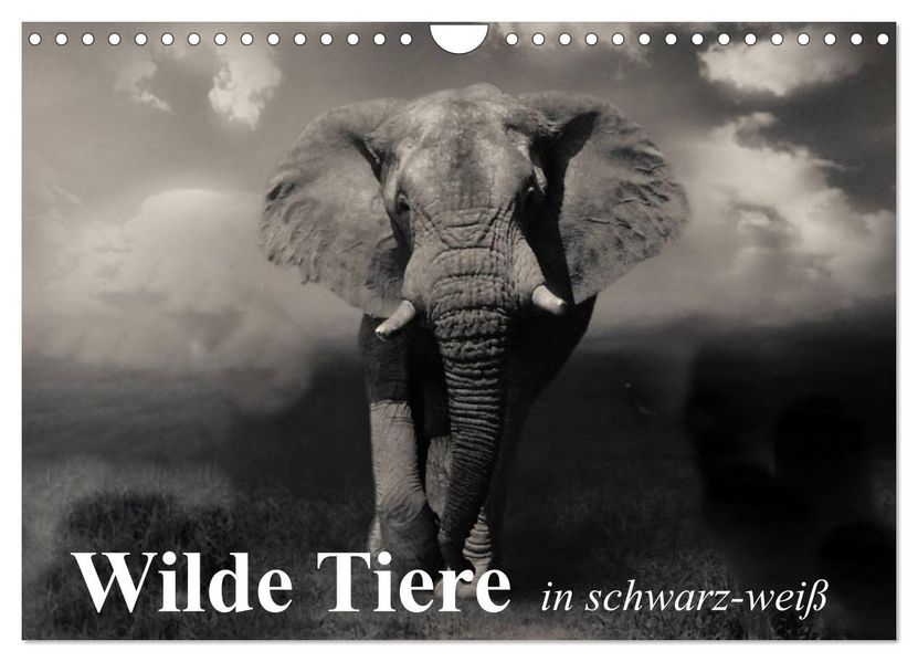 Wilde Tiere in schwarz-weiß (Wandkalender 2027 DIN A4 quer) CALVENDO Monatskalender