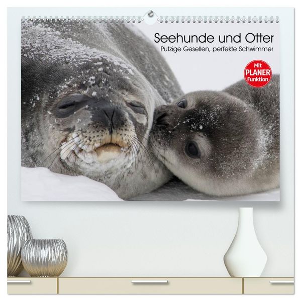 Seehunde und Otter. Putzige Gesellen perfekte Schwimmer (hochwertiger Premium Wandkalender 2027 DIN A2 quer) Kunstdruck in Hochglanz