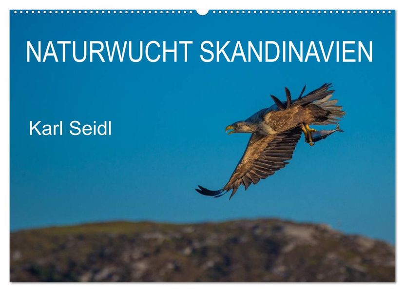 Naturwucht Skandinavien (Wandkalender 2027 DIN A2 quer) CALVENDO Monatskalender