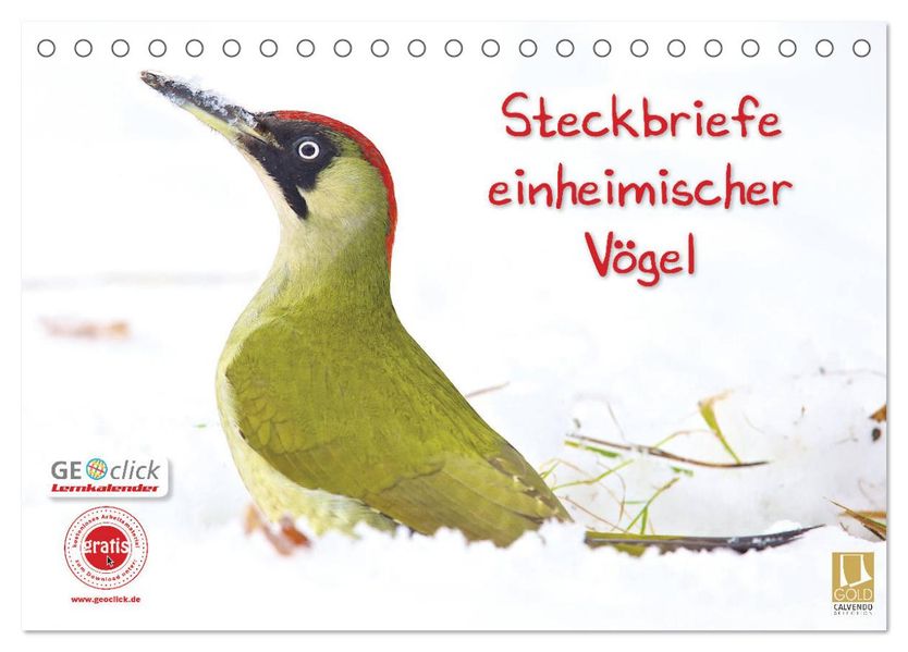 Steckbriefe einheimischer Vögel (Tischkalender 2027 DIN A5 quer) CALVENDO Monatskalender