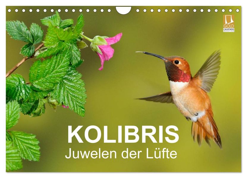 Kolibris - Juwelen der Lüfte (Wandkalender 2027 DIN A4 quer) CALVENDO Monatskalender