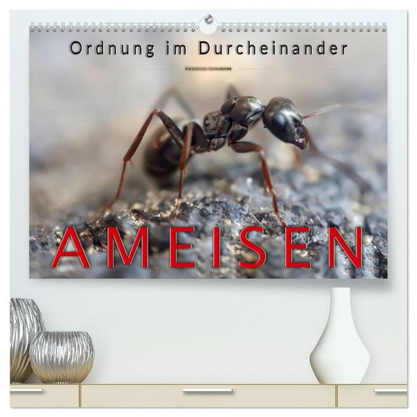 Ameisen - Ordnung im Durcheinander (hochwertiger Premium Wandkalender 2027 DIN A2 quer) Kunstdruck in Hochglanz
