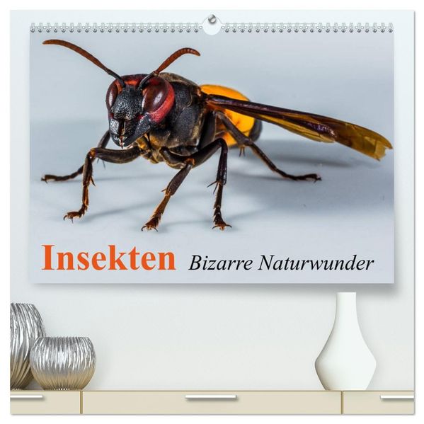 Insekten Bizarre Naturwunder (hochwertiger Premium Wandkalender 2027 DIN A2 quer) Kunstdruck in Hochglanz