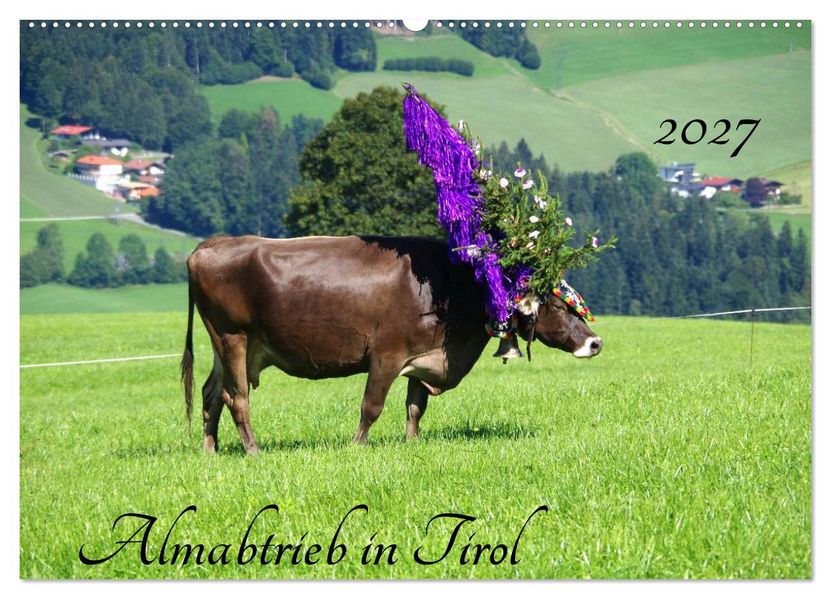 Almabtrieb in Tirol (Wandkalender 2027 DIN A2 quer) CALVENDO Monatskalender