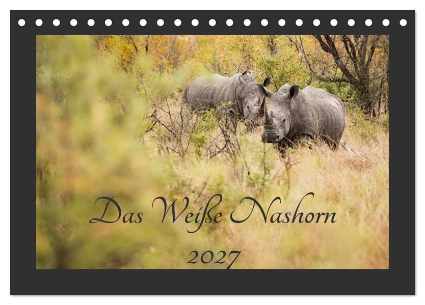 Das Weiße Nashorn (Tischkalender 2027 DIN A5 quer) CALVENDO Monatskalender