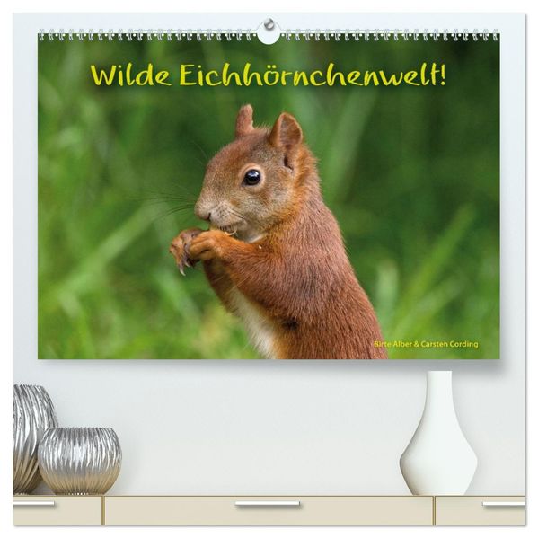 Wilde Eichhörnchenwelt! (hochwertiger Premium Wandkalender 2027 DIN A2 quer) Kunstdruck in Hochglanz