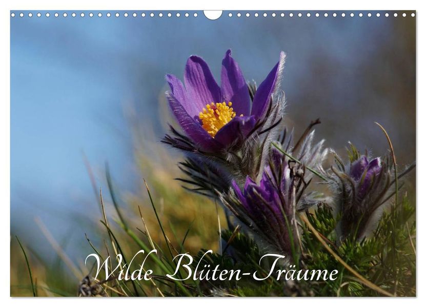 Wilde Blüten-Träume (Wandkalender 2027 DIN A3 quer) CALVENDO Monatskalender