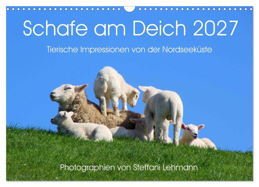 Schafe am Deich 2027. Tierische Impressionen von der Nordseeküste (Wandkalender 2027 DIN A3 quer) CALVENDO Monatskalender