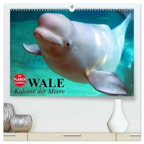 Wale. Kolosse der Meere (hochwertiger Premium Wandkalender 2027 DIN A2 quer) Kunstdruck in Hochglanz
