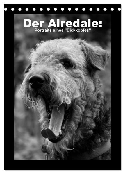 Der Airedale: Portraits eines 'Dickkopfes' (Tischkalender 2027 DIN A5 hoch) CALVENDO Monatskalender