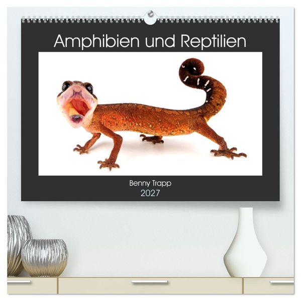 Amphibien und Reptilien (hochwertiger Premium Wandkalender 2027 DIN A2 quer) Kunstdruck in Hochglanz