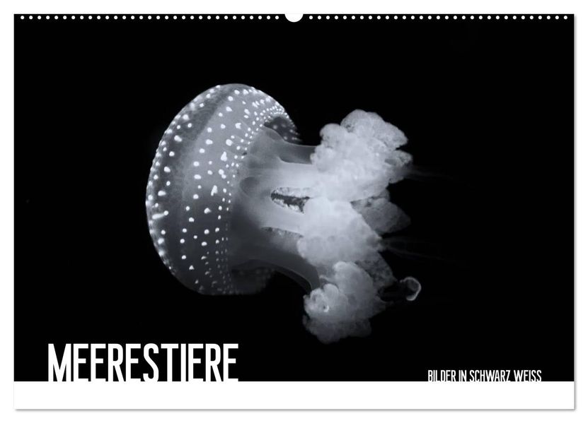 Meerestiere Bilder in Schwarz Weiss (Wandkalender 2027 DIN A2 quer) CALVENDO Monatskalender