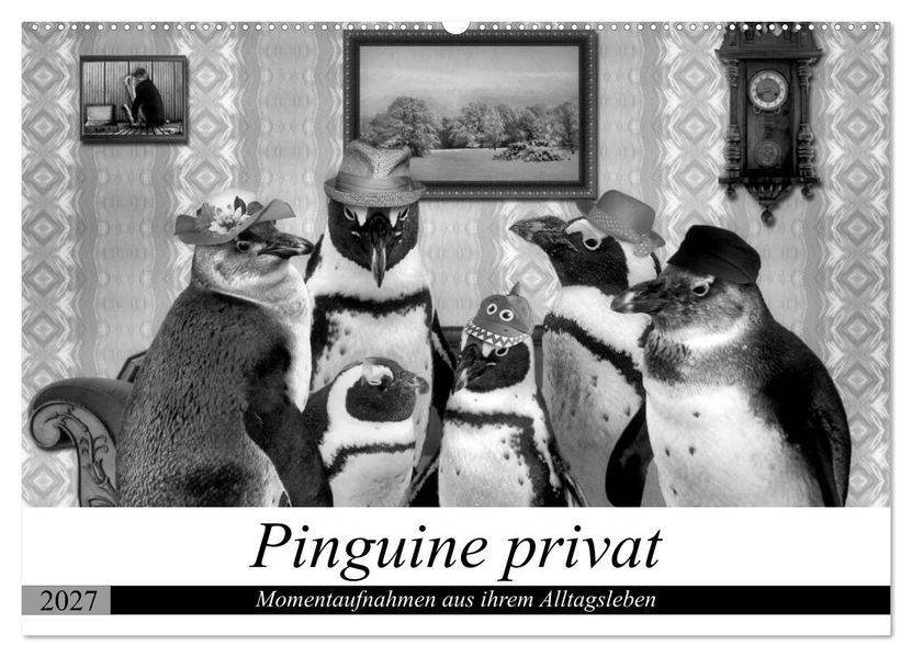Pinguine privat (Wandkalender 2027 DIN A2 quer) CALVENDO Monatskalender