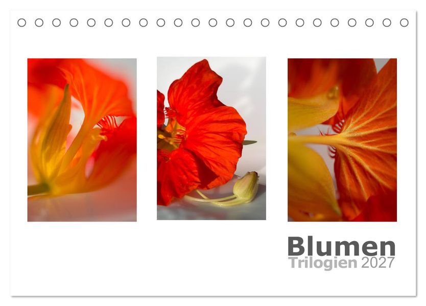 Blumen Trilogien (Tischkalender 2027 DIN A5 quer) CALVENDO Monatskalender