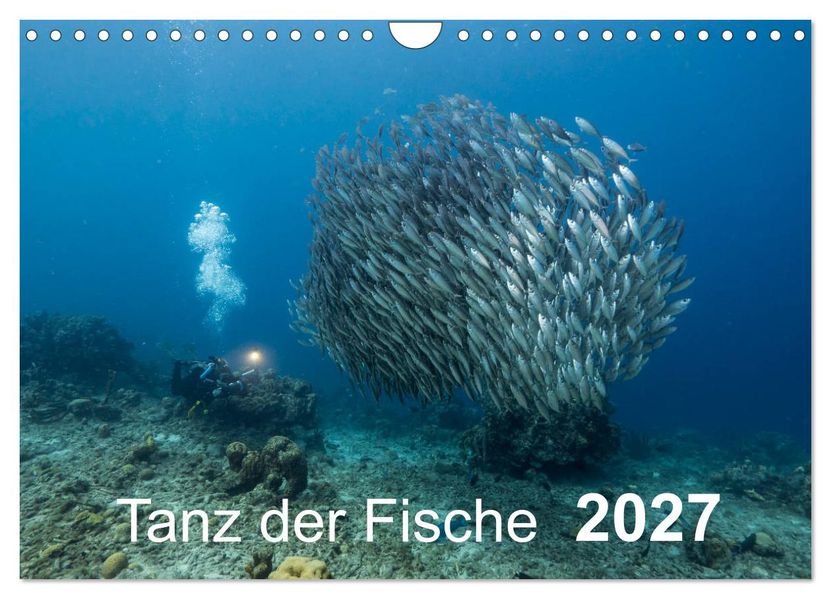 Tanz der Fische (Wandkalender 2027 DIN A4 quer) CALVENDO Monatskalender