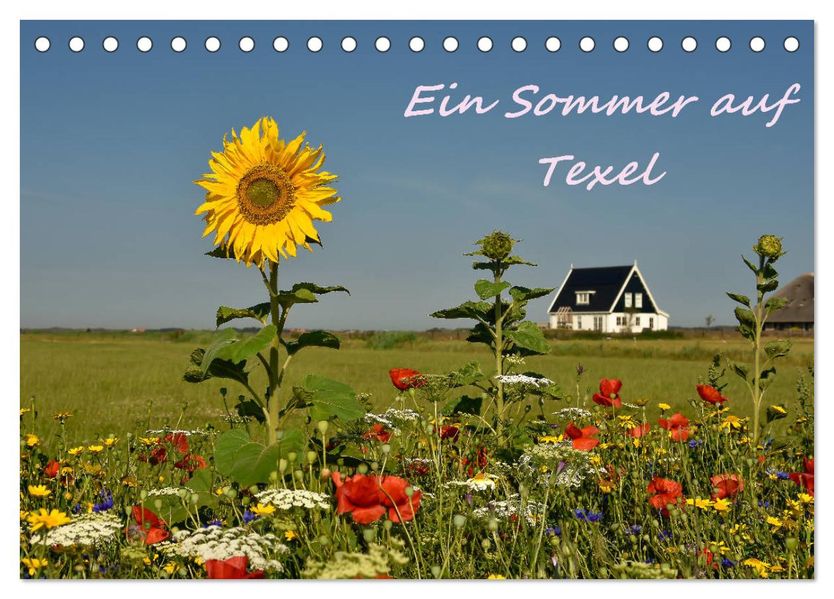 Ein Sommer auf Texel (Tischkalender 2027 DIN A5 quer) CALVENDO Monatskalender