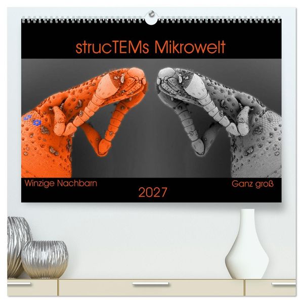 strucTEMs Mikrowelt - Winzige Nachbarn ganz groß (hochwertiger Premium Wandkalender 2027 DIN A2 quer) Kunstdruck in Hochglanz