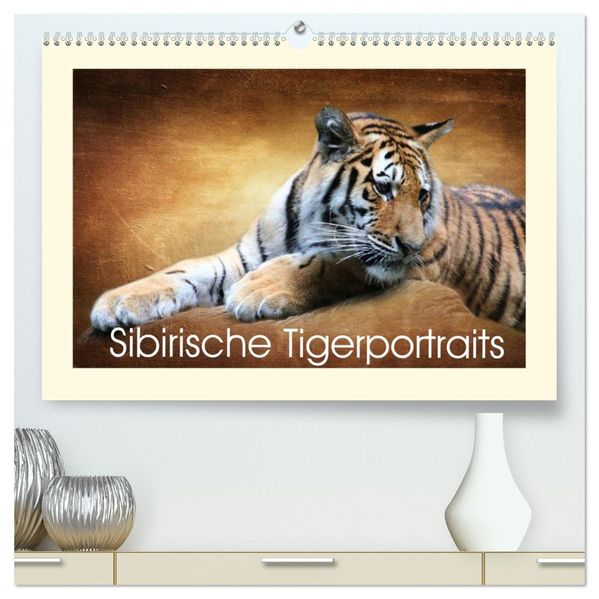 Sibirische Tigerportraits (hochwertiger Premium Wandkalender 2027 DIN A2 quer) Kunstdruck in Hochglanz