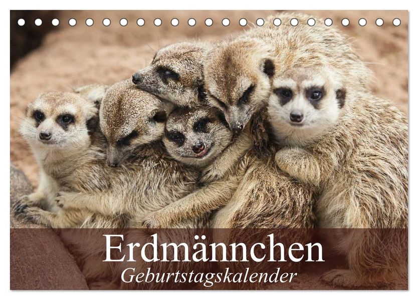Erdmännchen (Tischkalender 2027 DIN A5 quer) CALVENDO Monatskalender