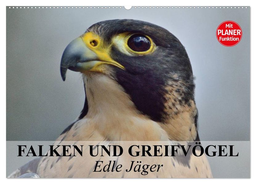 Falken und Greifvögel - Edle Jäger (Wandkalender 2027 DIN A2 quer) CALVENDO Monatskalender