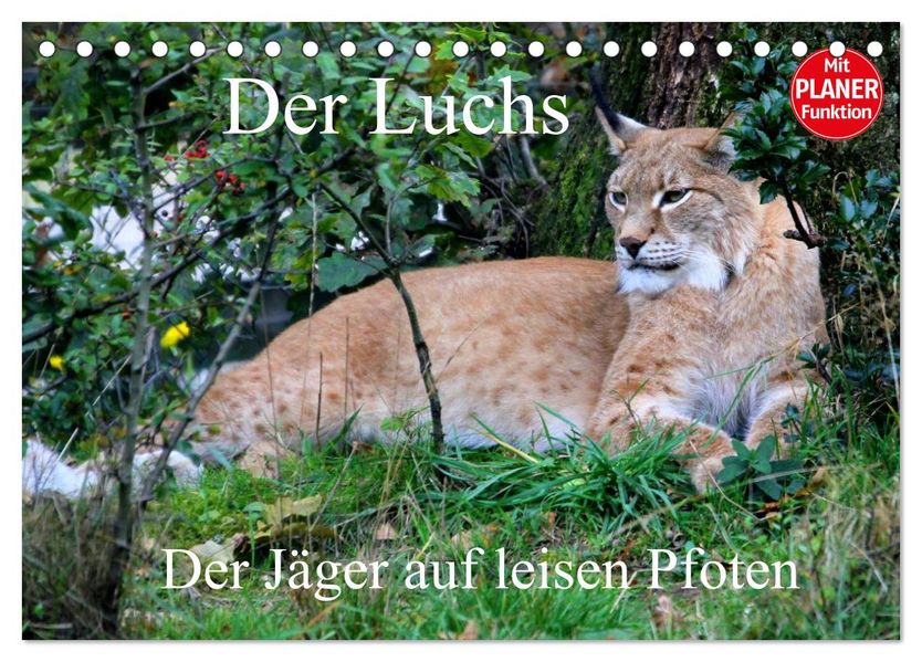 Der Luchs - Der Jäger auf leisen Pfoten (Tischkalender 2027 DIN A5 quer) CALVENDO Monatskalender