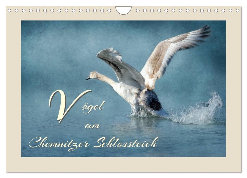 Vögel am Chemnitzer Schlossteich (Wandkalender 2027 DIN A4 quer) CALVENDO Monatskalender