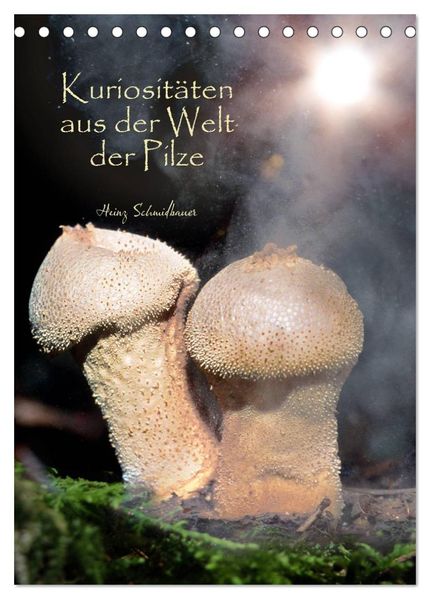 Kuriositäten aus der Welt der Pilze (Tischkalender 2027 DIN A5 hoch) CALVENDO Monatskalender