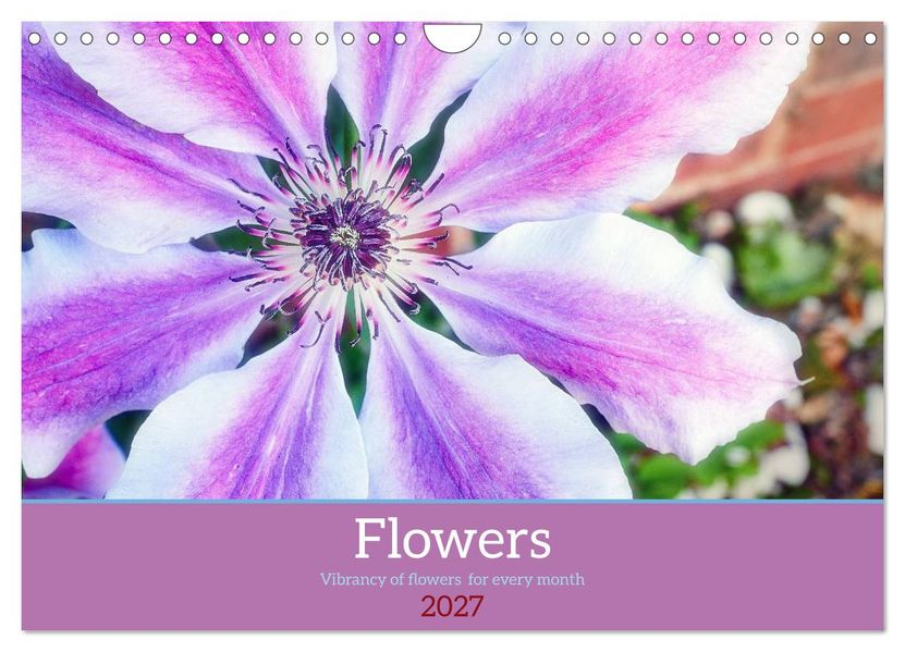 Vibrancy of flowers (Wall Calendar 2027 DIN A4 landscape) CALVENDO 12 Month Wall Calendar