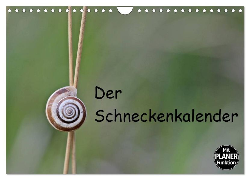 Der Schneckenkalender (Wandkalender 2027 DIN A4 quer) CALVENDO Monatskalender
