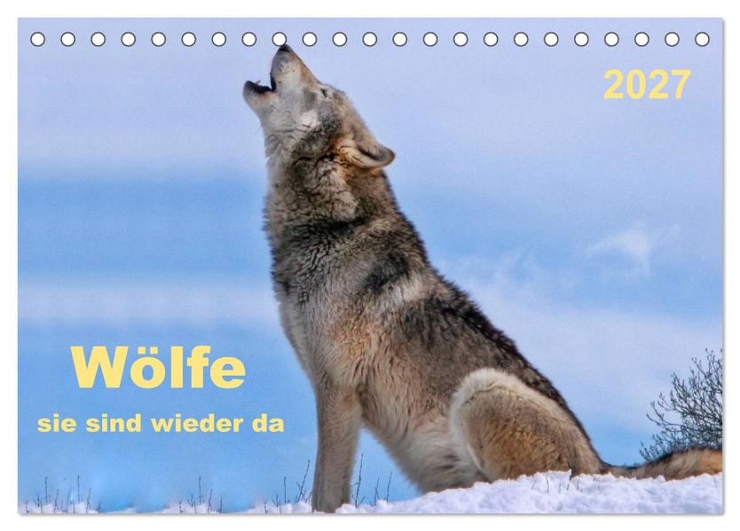 Wölfe - sie sind wieder da (Tischkalender 2027 DIN A5 quer) CALVENDO Monatskalender