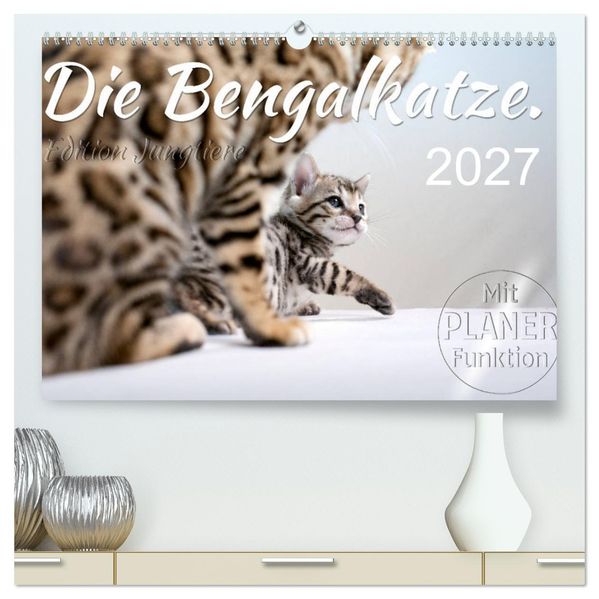 Die Bengalkatze. Edition Jungtiere (hochwertiger Premium Wandkalender 2027 DIN A2 quer) Kunstdruck in Hochglanz