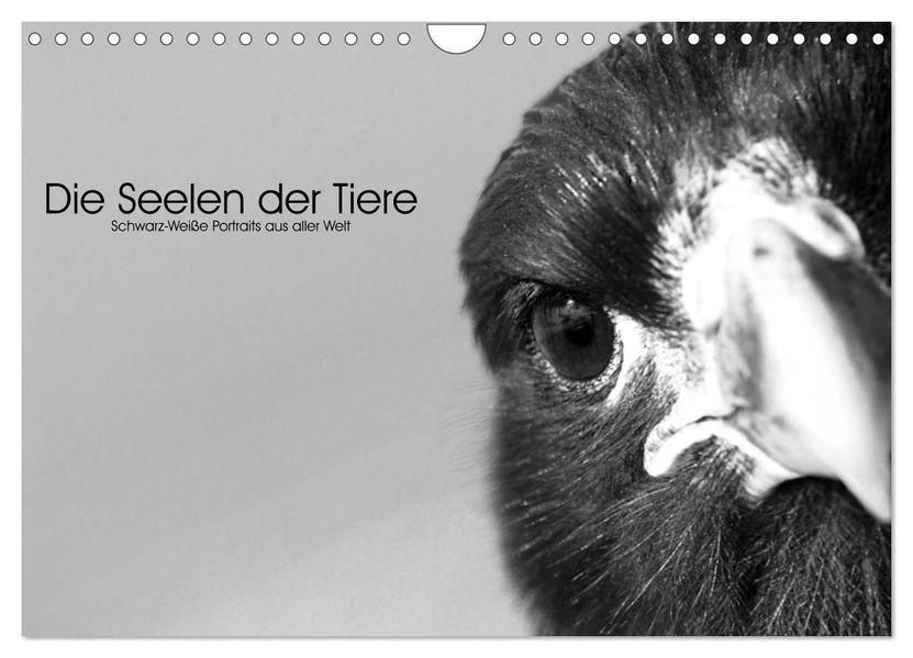 Die Seelen der wilden Tiere (Wandkalender 2027 DIN A4 quer) CALVENDO Monatskalender