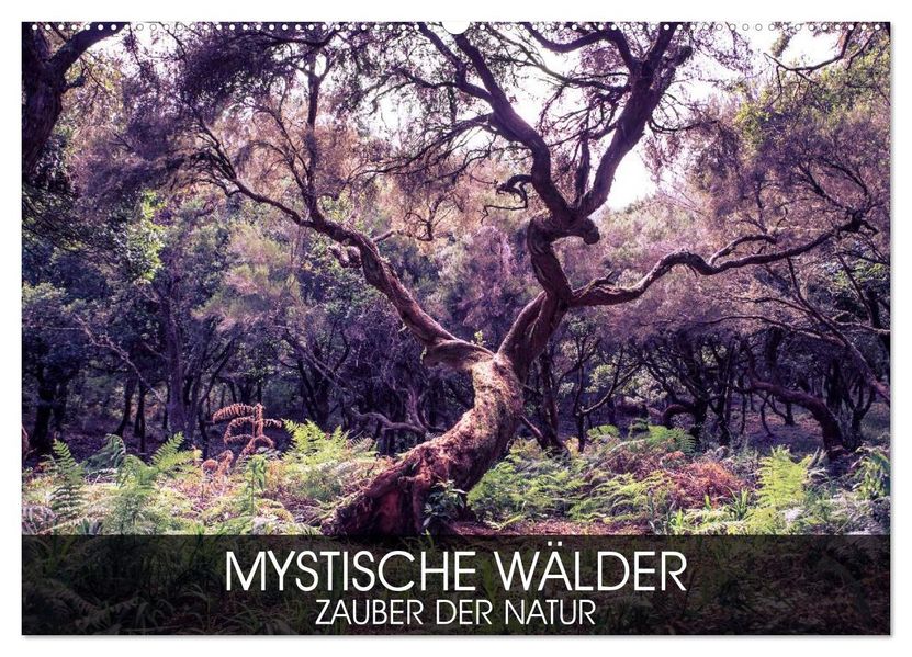 Mystische Wälder - Zauber der Natur (Wandkalender 2027 DIN A2 quer) CALVENDO Monatskalender