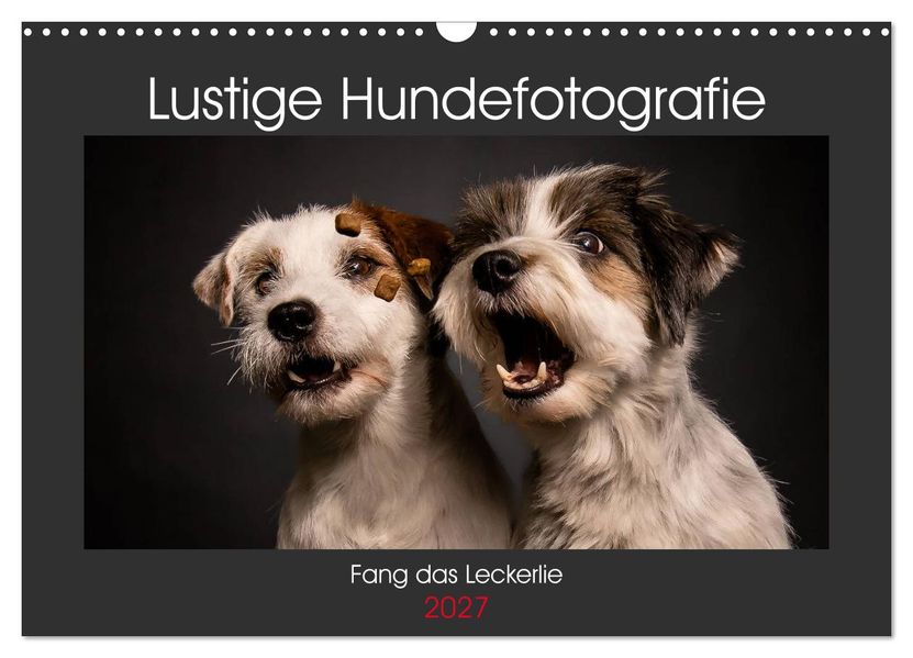 Fang das Leckerlie (Wandkalender 2027 DIN A3 quer) CALVENDO Monatskalender