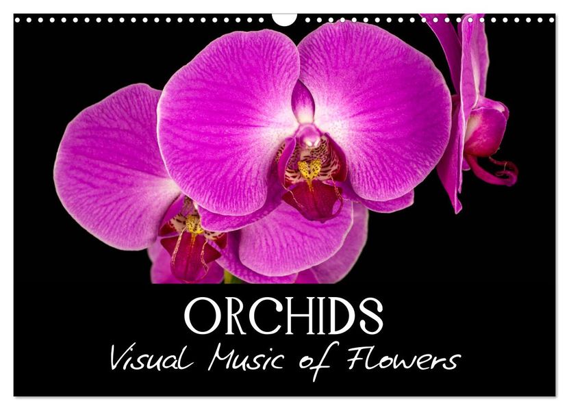 Orchids (Wall Calendar 2027 DIN A3 landscape) CALVENDO 12 Month Wall Calendar