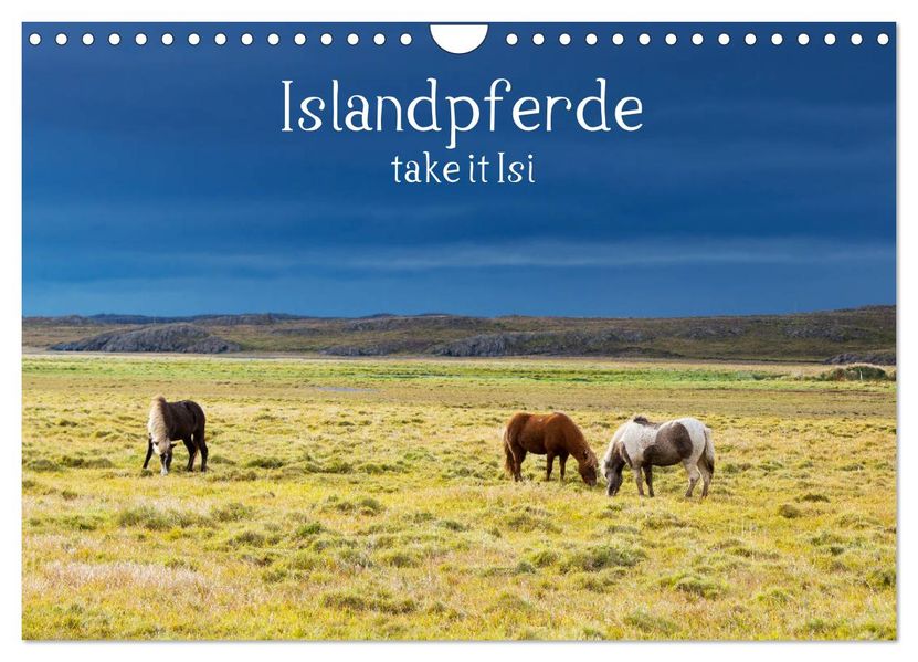 Islandpferde take it Isi (Wandkalender 2027 DIN A4 quer) CALVENDO Monatskalender