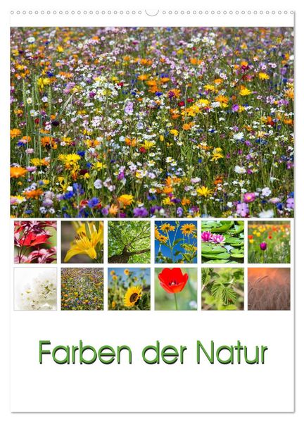 Farben der Natur (Wandkalender 2027 DIN A2 hoch) CALVENDO Monatskalender