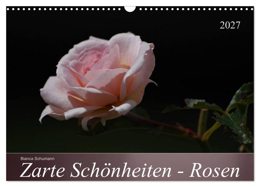 Zarte Schönheiten - Rosen (Wandkalender 2027 DIN A3 quer) CALVENDO Monatskalender