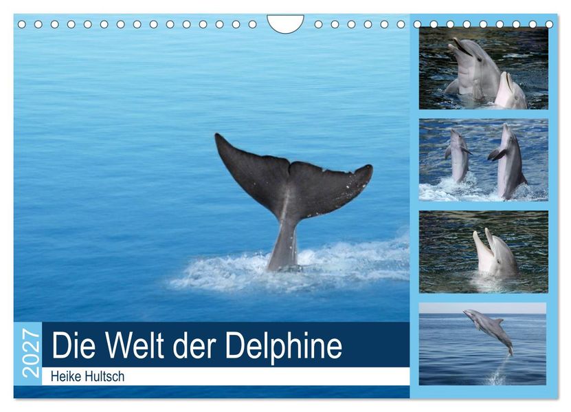 Die Welt der Delphine (Wandkalender 2027 DIN A4 quer) CALVENDO Monatskalender