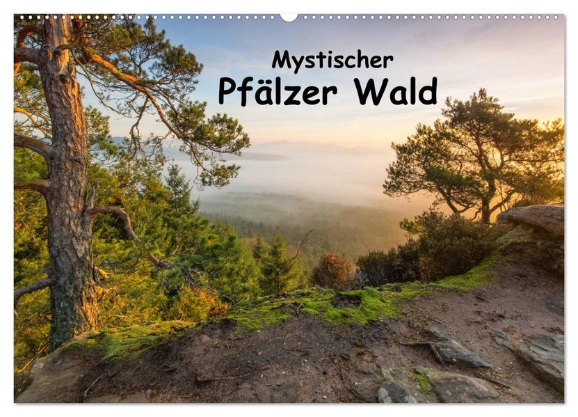 Mystischer Pfälzer Wald (Wandkalender 2027 DIN A2 quer) CALVENDO Monatskalender