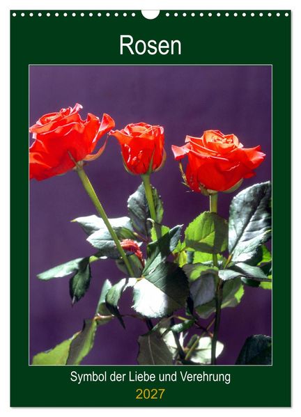 Rosen - Symbol der Liebe und Verehrung (Wandkalender 2027 DIN A3 hoch) CALVENDO Monatskalender