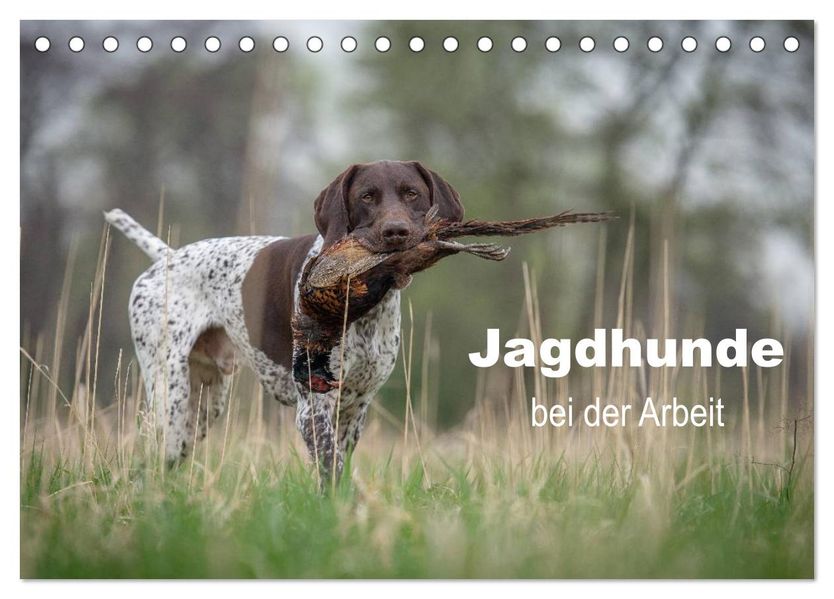 Jagdhunde bei der Arbeit (Tischkalender 2027 DIN A5 quer) CALVENDO Monatskalender