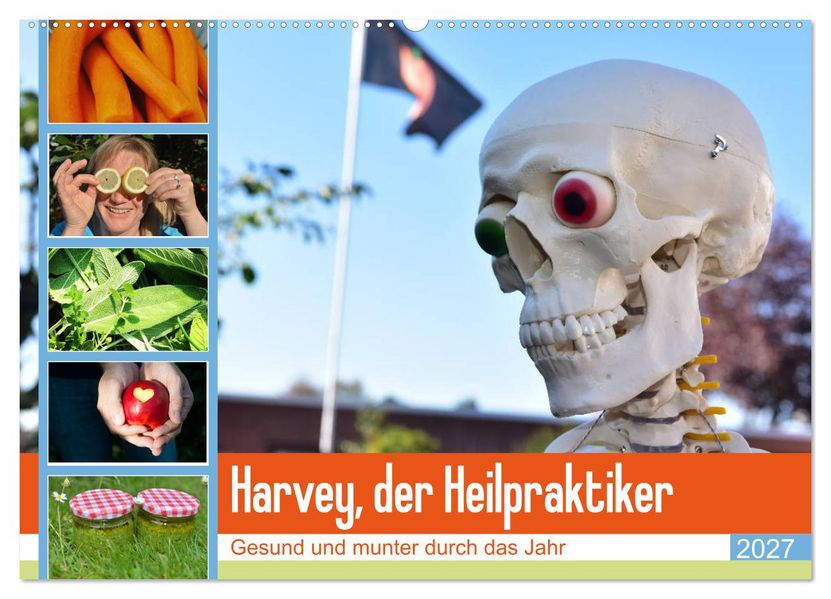 Harvey der Heilpraktiker (Wandkalender 2027 DIN A2 quer) CALVENDO Monatskalender