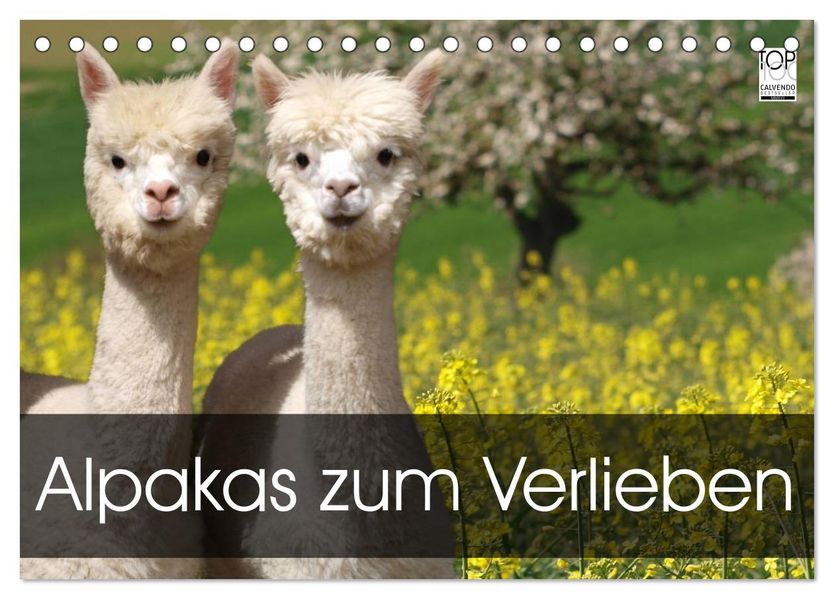 Alpakas zum Verlieben (Tischkalender 2027 DIN A5 quer) CALVENDO Monatskalender