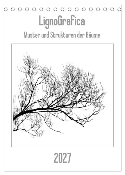 LignoGrafica - Muster und Strukturen der Bäume (Tischkalender 2027 DIN A5 hoch) CALVENDO Monatskalender