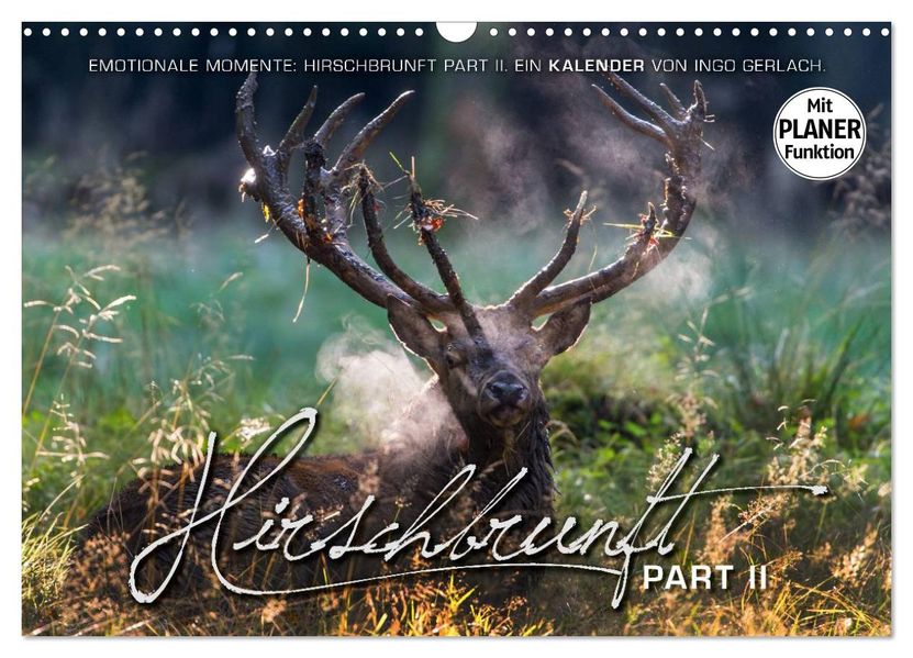 Emotionale Momente: Hirschbrunft. Part II. (Wandkalender 2027 DIN A3 quer) CALVENDO Monatskalender